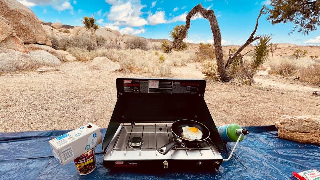 The Art of Budget-Friendly Outdoor Adventures The Art of Budget-Friendly Outdoor Adventures